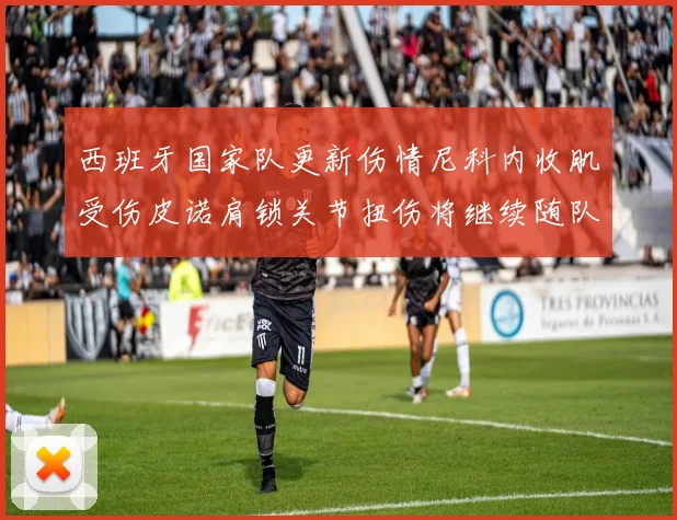 西班牙国家队更新伤情尼科内收肌受伤皮诺肩锁关节扭伤将继续随队训练
