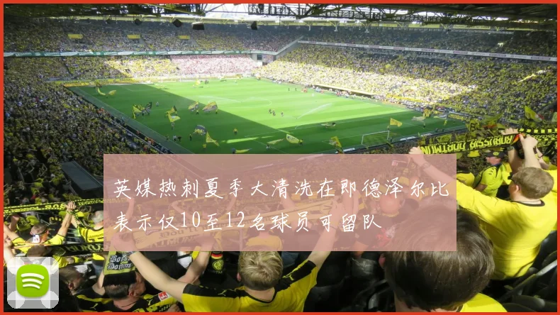 英媒热刺夏季大清洗在即德泽尔比表示仅10至12名球员可留队